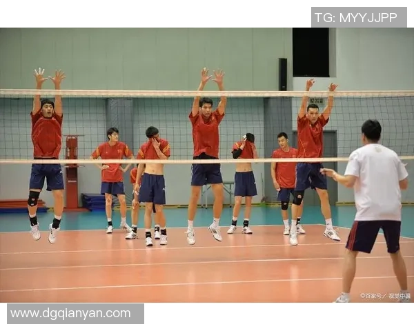 聚焦杭州排球队个人能力提升与团队协作的完美结合