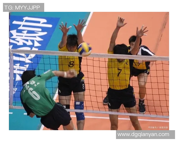 重庆排球队实力解析：从技术到团队协作的全方位剖析