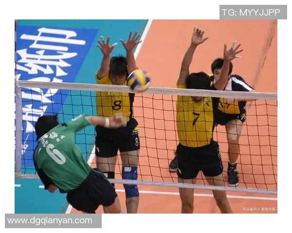 排球团队协作排名：杭州排球队创新高